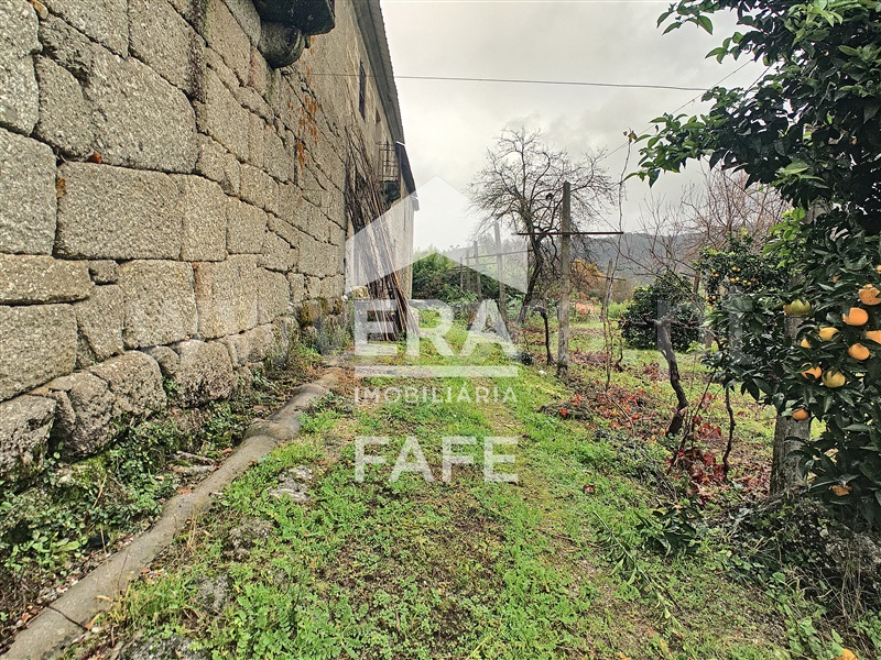 Quinta  Fafe, Freitas e Vila Cova - 1283063 - 10