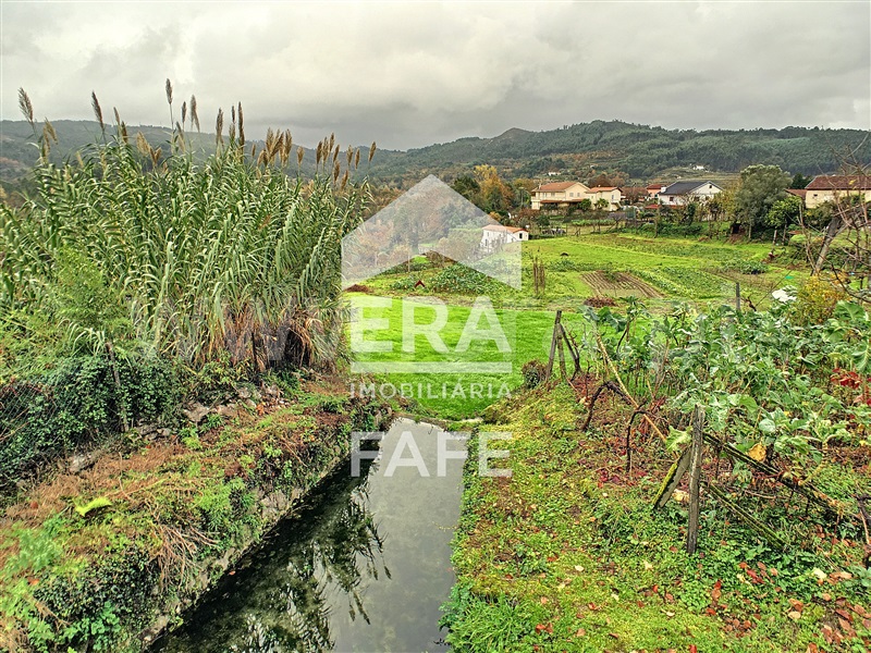 Quinta  Fafe, Freitas e Vila Cova - 1283063 - 14