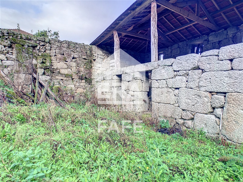 Quinta  Fafe, Freitas e Vila Cova - 1283063 - 15