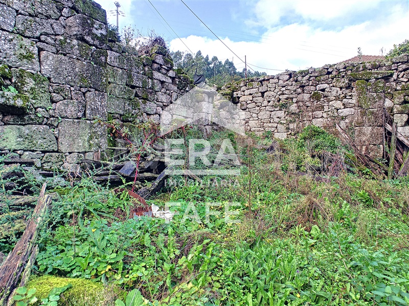 Quinta  Fafe, Freitas e Vila Cova - 1283063 - 16