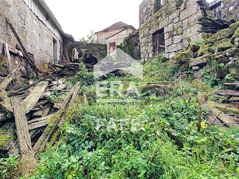 Quinta  Fafe, Freitas e Vila Cova - 1283063 - 17