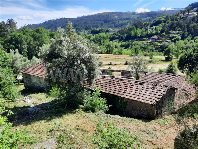Quinta  Fafe, Freitas e Vila Cova - 1334651 - 14
