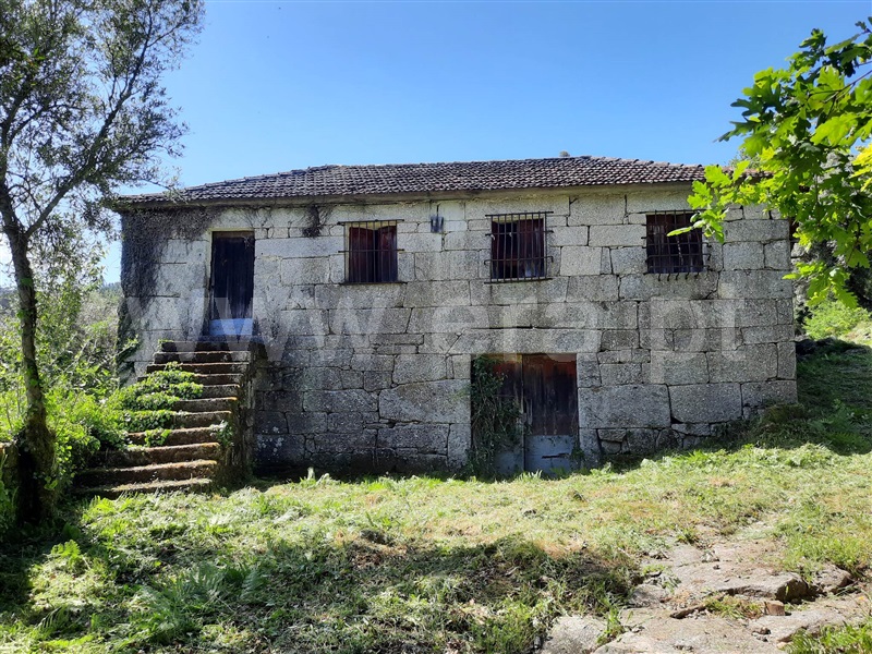 Quinta  Fafe, Freitas e Vila Cova - 1334651 - 22