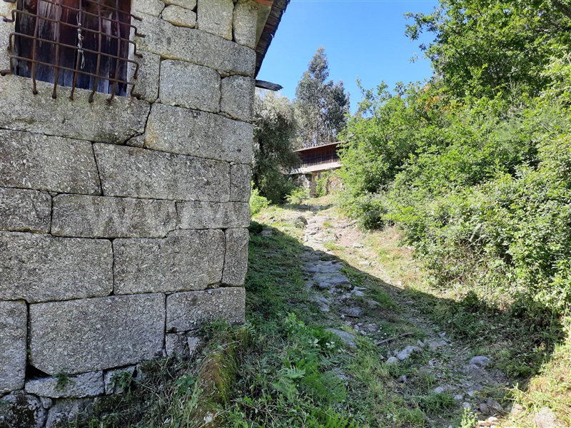 Quinta  Fafe, Freitas e Vila Cova - 1334651 - 24