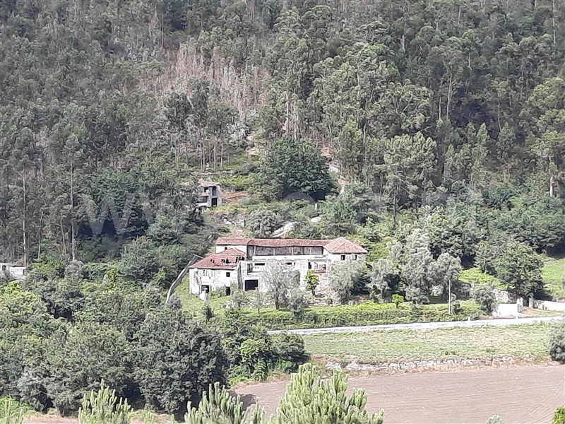 Quinta  Fafe, Freitas e Vila Cova - 1334651 - 38
