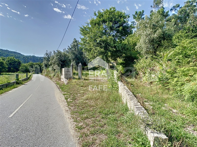 Quinta  Fafe, Freitas e Vila Cova - 1334651 - 39
