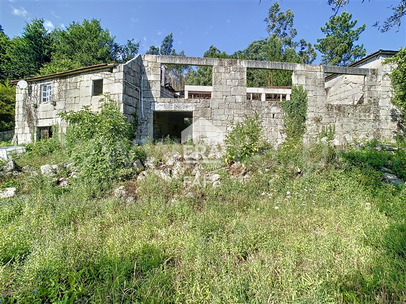 Quinta  Fafe, Freitas e Vila Cova - 1334651 - 44