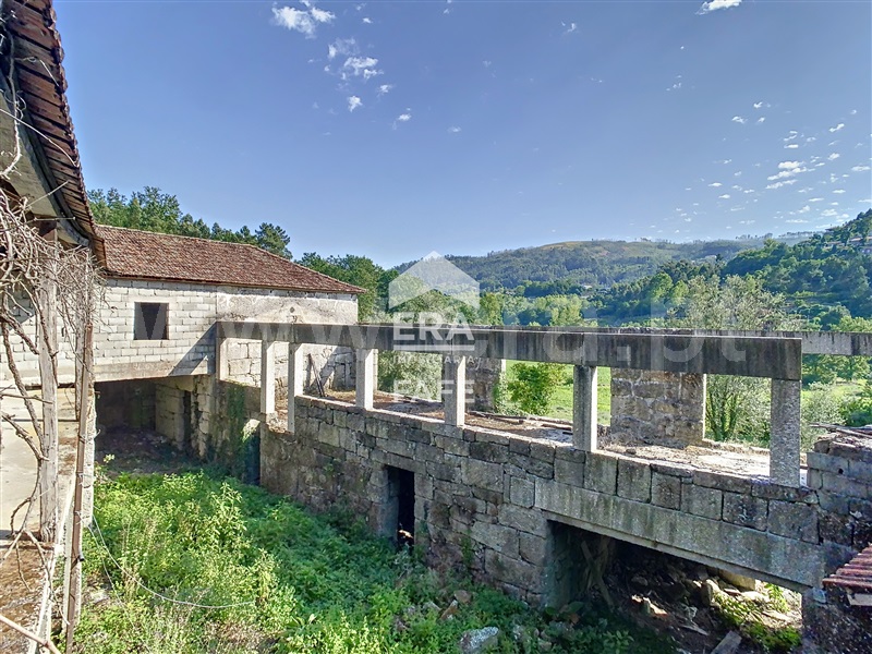 Quinta  Fafe, Freitas e Vila Cova - 1334651 - 53
