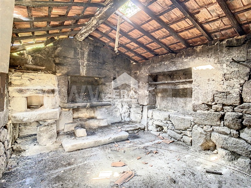 Quinta  Fafe, Freitas e Vila Cova - 1334651 - 55