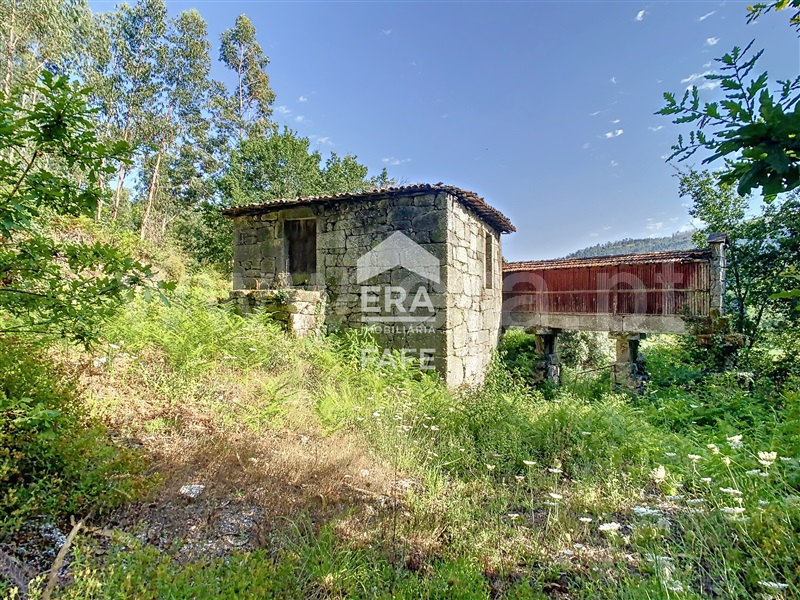 Quinta  Fafe, Freitas e Vila Cova - 1334651 - 81