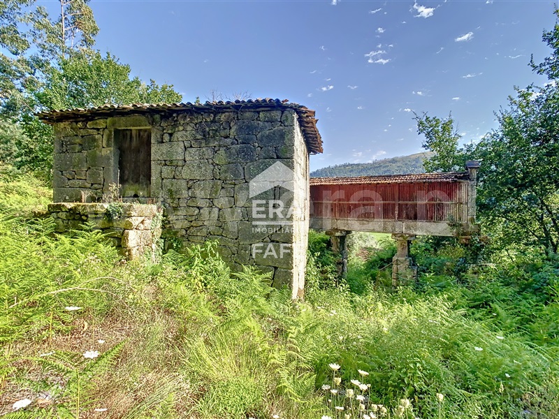 Quinta  Fafe, Freitas e Vila Cova - 1334651 - 83