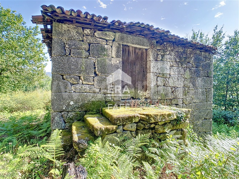 Quinta  Fafe, Freitas e Vila Cova - 1334651 - 84