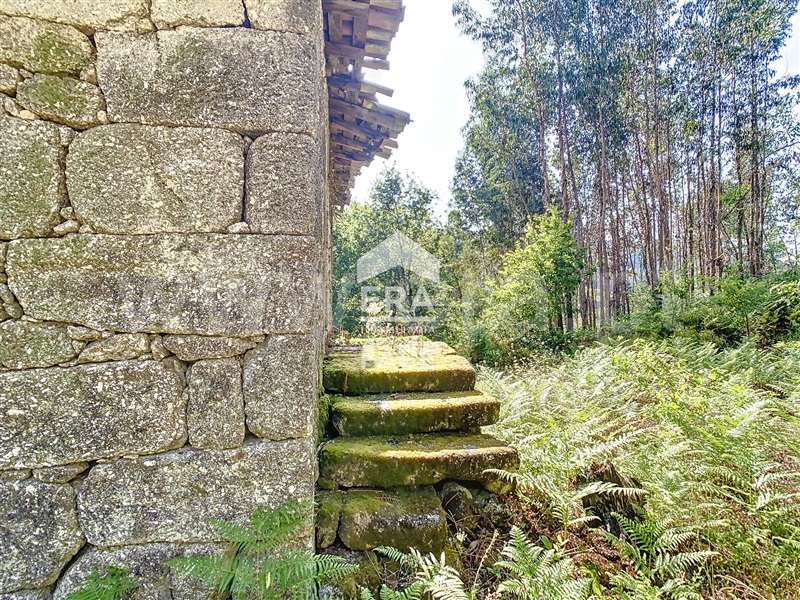 Quinta  Fafe, Freitas e Vila Cova - 1334651 - 86
