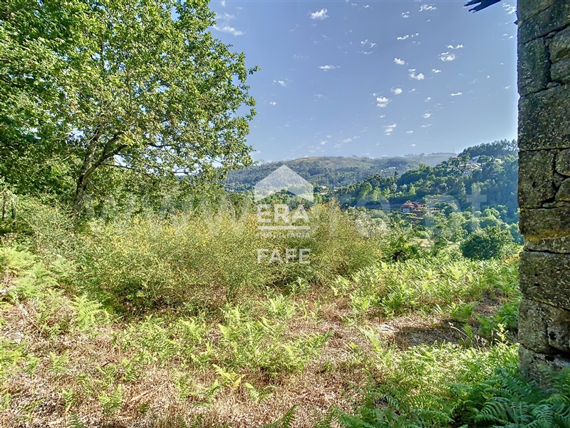 Quinta  Fafe, Freitas e Vila Cova - 1334651 - 88
