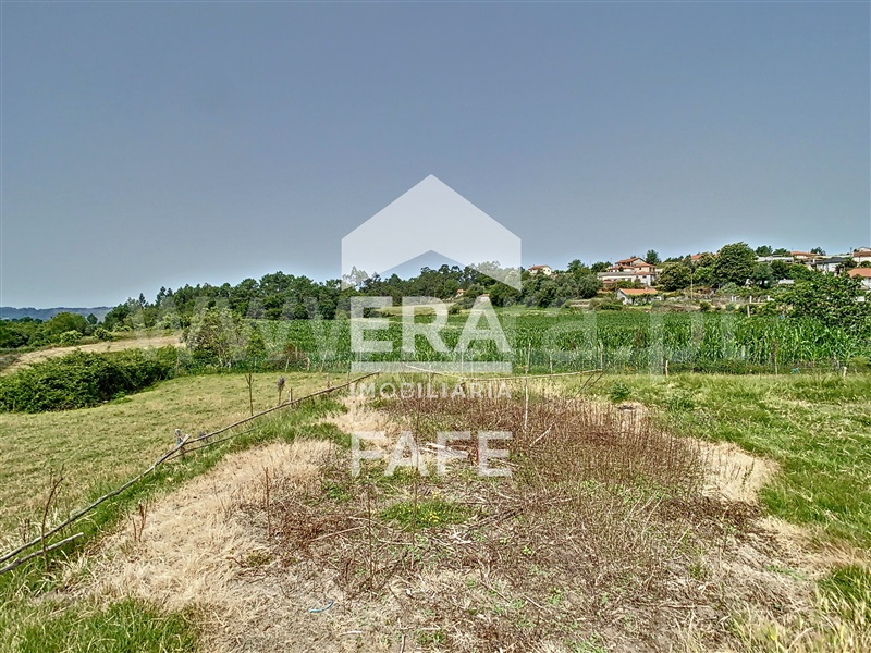 Quinta  Fafe, Monte e Queimadela - 708383 - 20