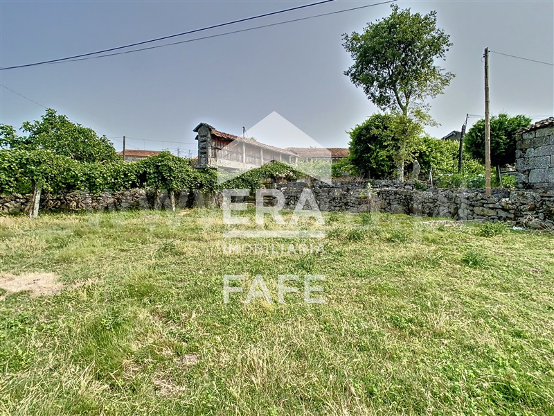 Quinta  Fafe, Monte e Queimadela - 708383 - 24