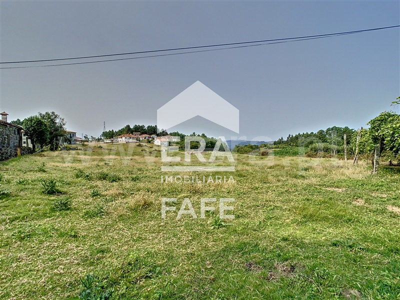 Quinta  Fafe, Monte e Queimadela - 708383 - 25