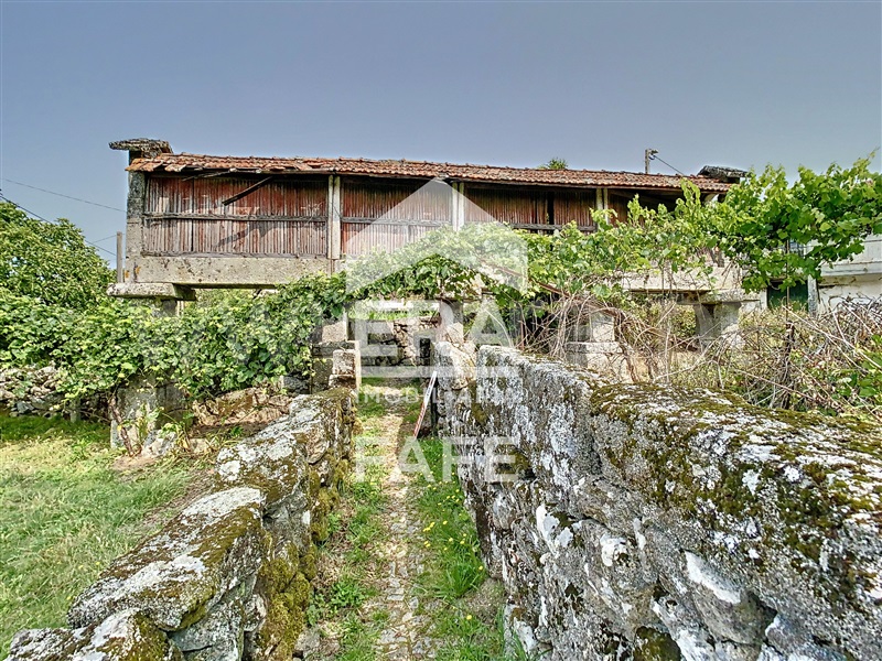 Quinta  Fafe, Monte e Queimadela - 708383 - 26