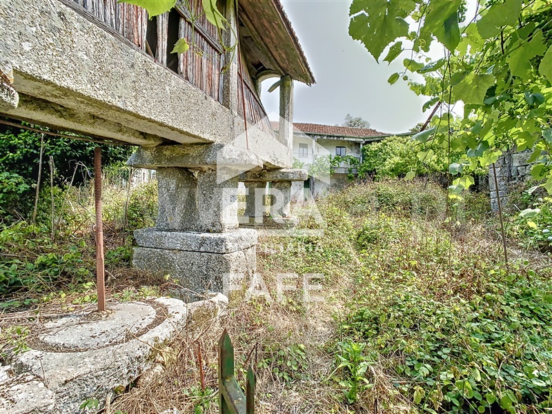 Quinta  Fafe, Monte e Queimadela - 708383 - 27