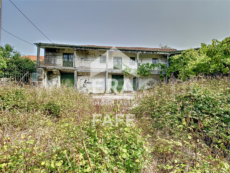 Quinta  Fafe, Monte e Queimadela - 708383 - 28