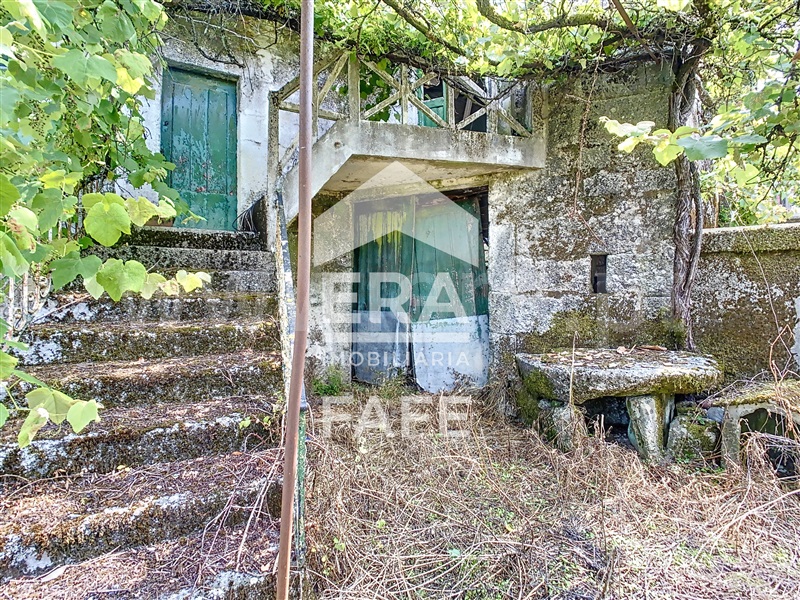 Quinta  Fafe, Monte e Queimadela - 708383 - 31