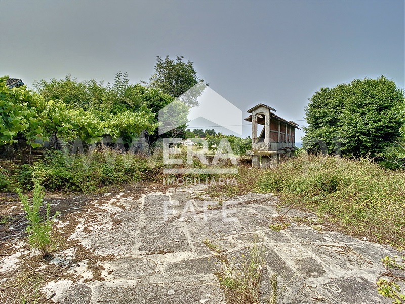 Quinta  Fafe, Monte e Queimadela - 708383 - 36