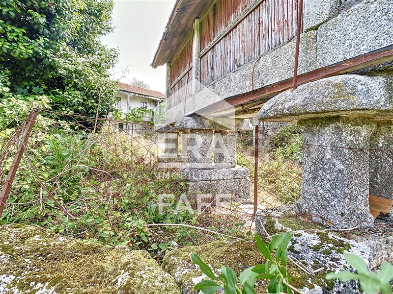 Quinta  Fafe, Monte e Queimadela - 708383 - 40