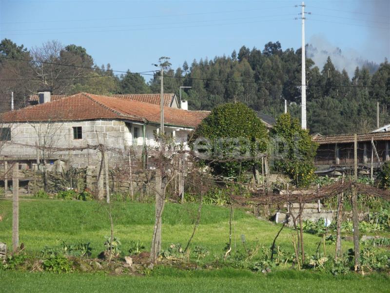 Quinta  Fafe, Monte e Queimadela - 708383 - 12