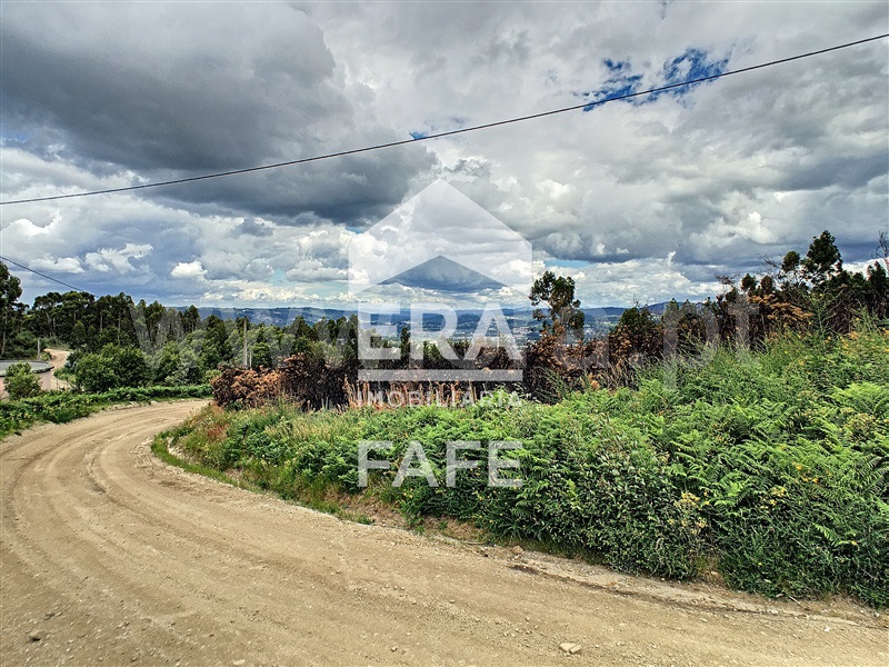 Quinta  Fafe, Quinchães - 1254474 - 8