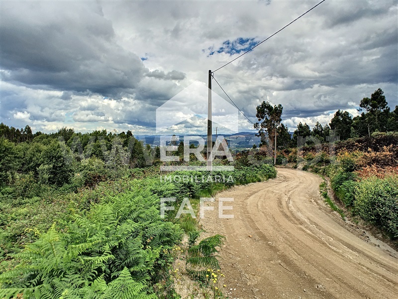 Quinta  Fafe, Quinchães - 1254474 - 10