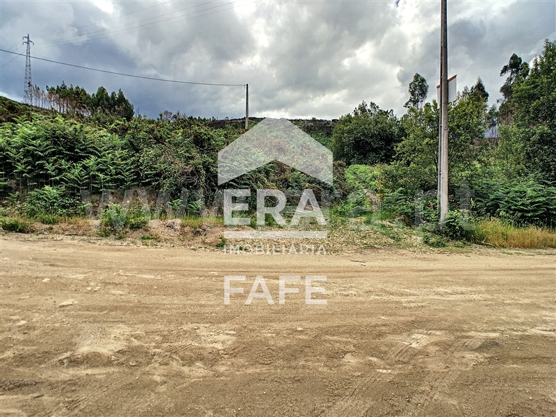 Quinta  Fafe, Quinchães - 1254474 - 11