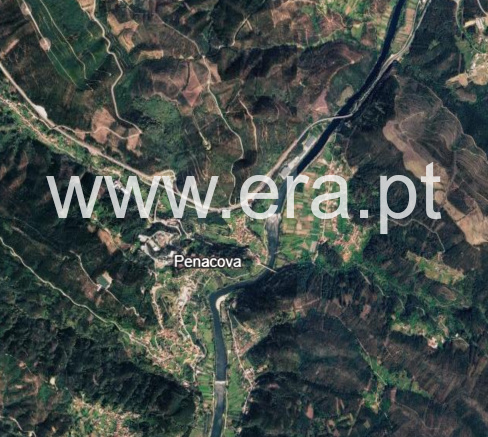 Terreno Misto / Felgueiras, Penacova