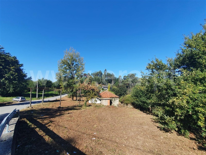 Quinta / Felgueiras, Vila Fria e Vizela (São Jorge)