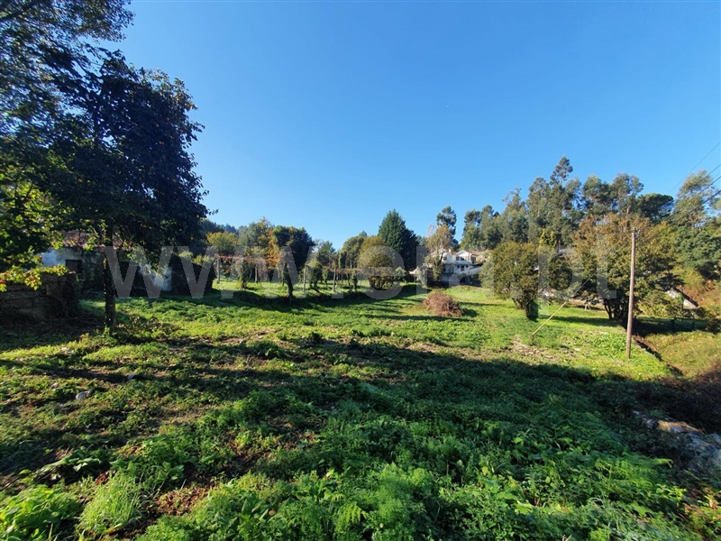 Quinta  Felgueiras, Vila Fria e Vizela (São Jorge) - 1492273 - 4