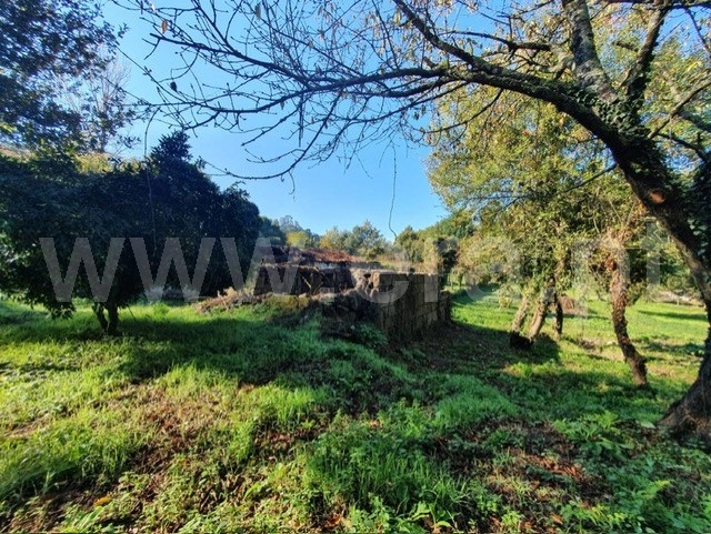 Quinta  Felgueiras, Vila Fria e Vizela (São Jorge) - 1492273 - 7