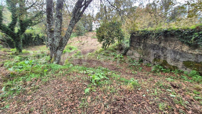 Quinta  Felgueiras, Vila Fria e Vizela (São Jorge) - 1492273 - 9