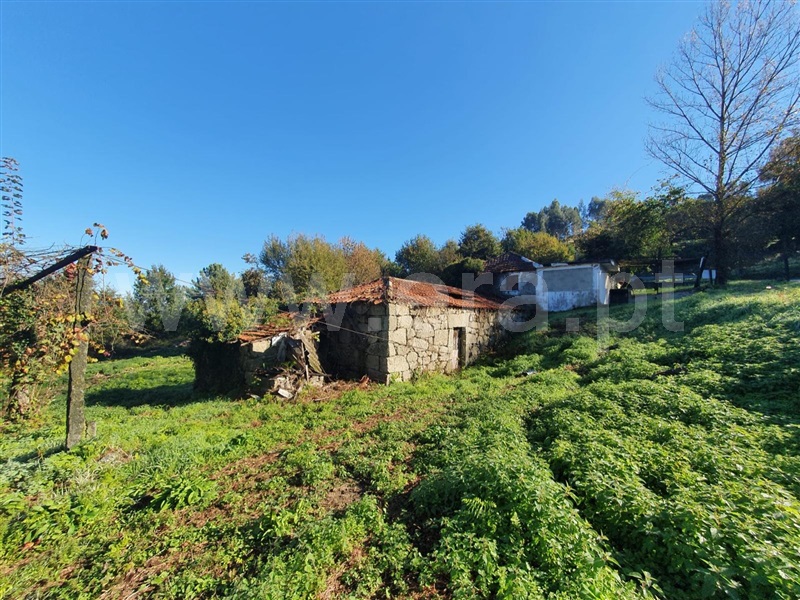Quinta  Felgueiras, Vila Fria e Vizela (São Jorge) - 1492273 - 10