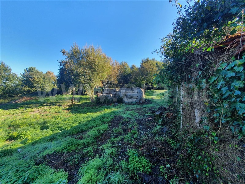 Quinta  Felgueiras, Vila Fria e Vizela (São Jorge) - 1492273 - 11
