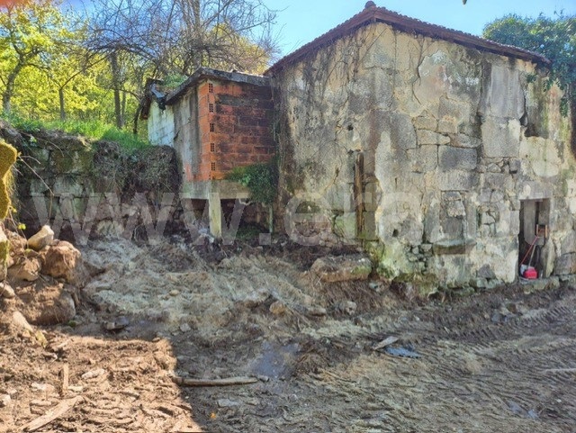 Quinta  Felgueiras, Vila Fria e Vizela (São Jorge) - 1492273 - 15