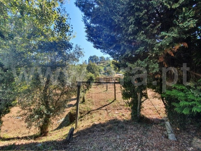 Quinta  Felgueiras, Vila Fria e Vizela (São Jorge) - 1492273 - 16