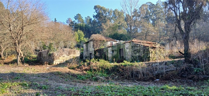 Quinta / Felgueiras, Vila Fria e Vizela (São Jorge)