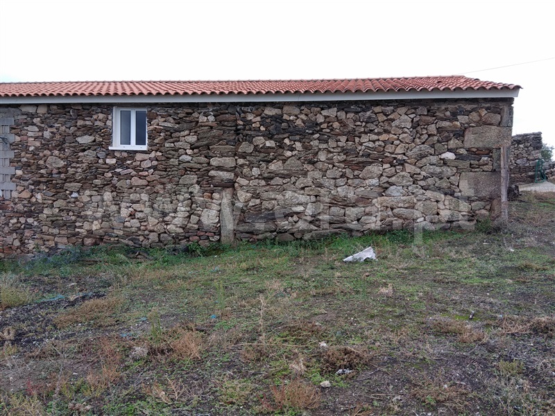 Quinta  Figueira de Castelo Rodrigo, Douro Superior - 926268 - 4