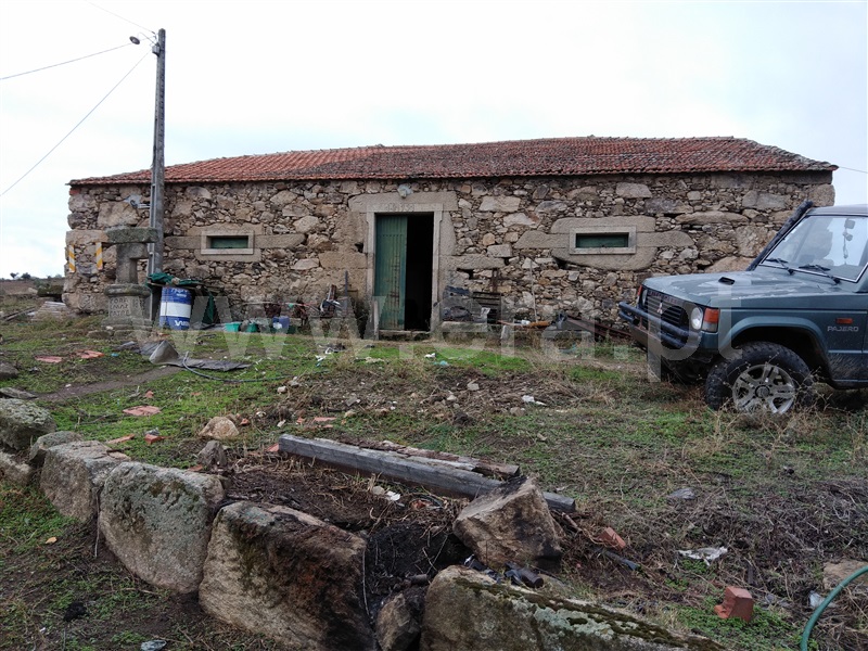 Quinta  Figueira de Castelo Rodrigo, Douro Superior - 926268 - 5