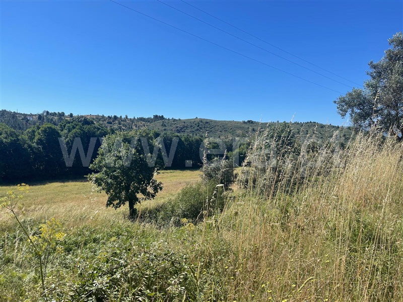 Quinta  Fornos de Algodres, Muxagata - 1412302 - 1