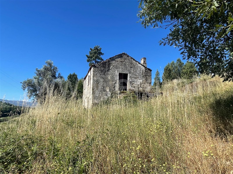 Quinta  Fornos de Algodres, Muxagata - 1412302 - 2