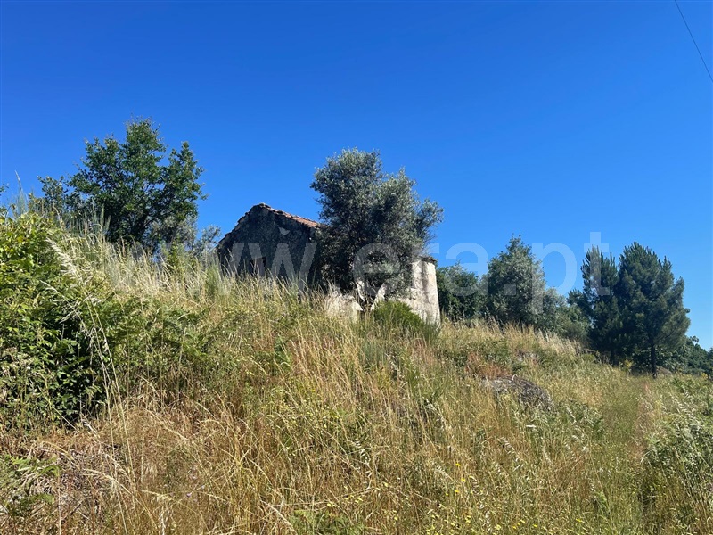 Quinta  Fornos de Algodres, Muxagata - 1412302 - 6