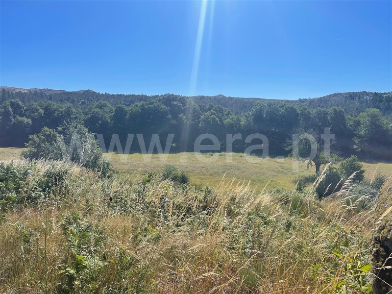 Quinta  Fornos de Algodres, Muxagata - 1412302 - 7