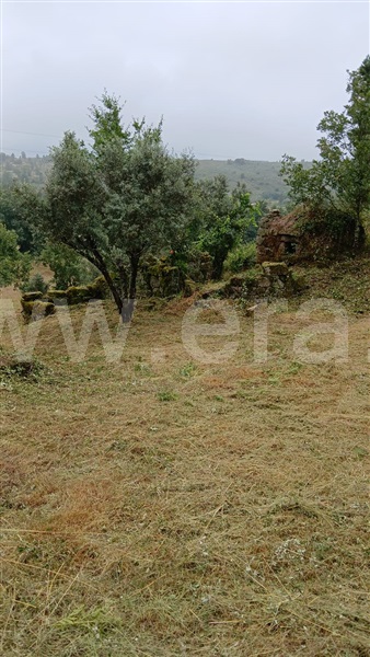 Quinta  Fornos de Algodres, Muxagata - 1412302 - 9