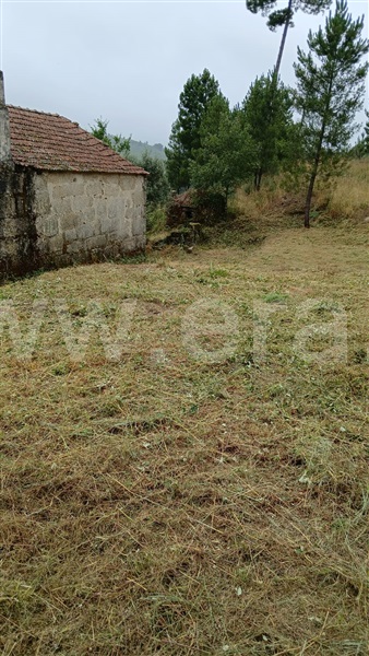Quinta  Fornos de Algodres, Muxagata - 1412302 - 11