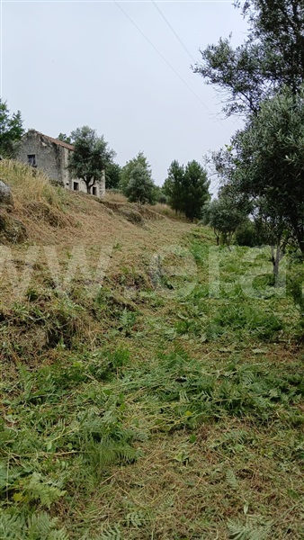 Quinta  Fornos de Algodres, Muxagata - 1412302 - 12